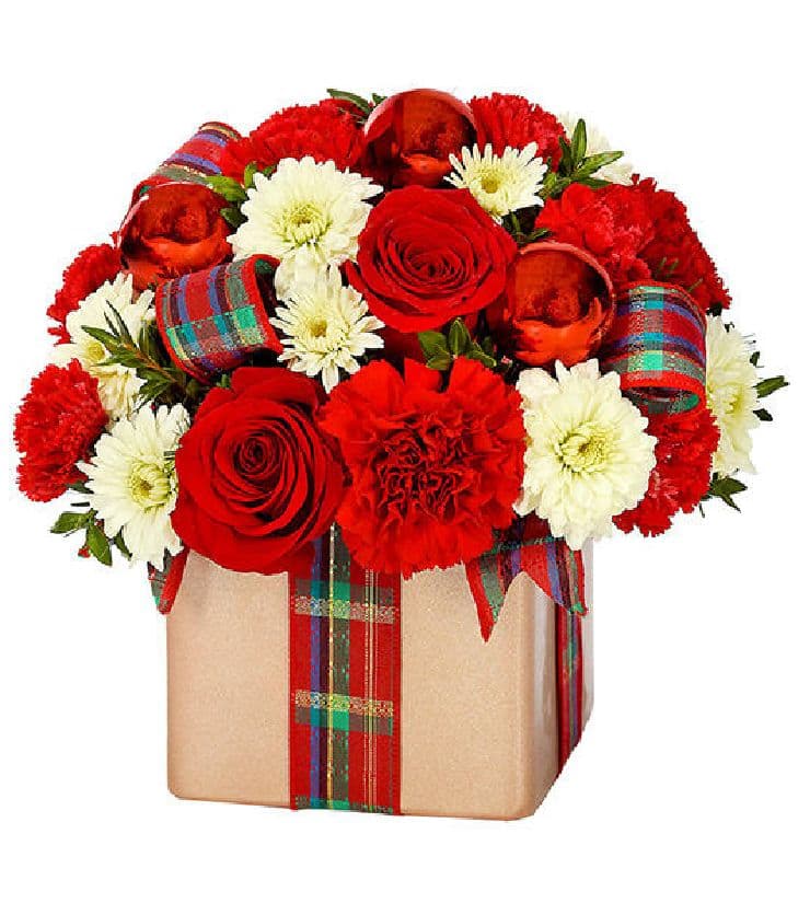 Holiday Flower Present 