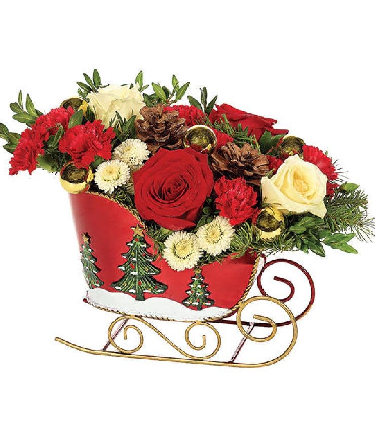 Holiday Sleighride Celebration