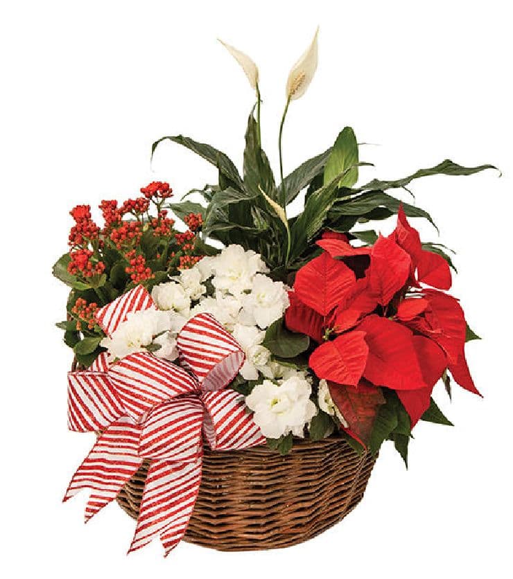 Christmas Candy Cane Basket 