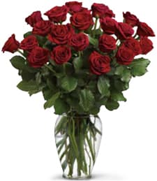 Dozen Long Stem Red Roses