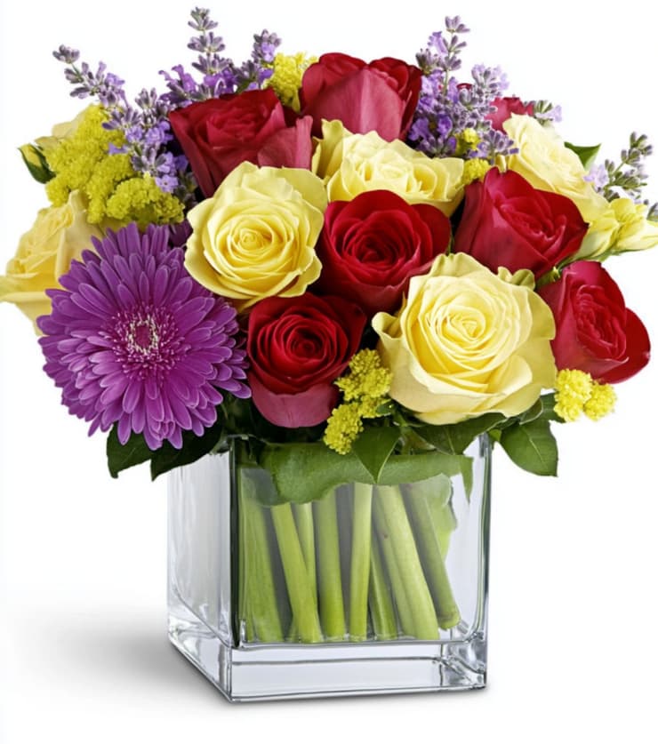 Vibrant Violets