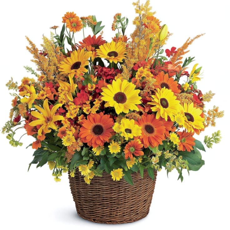 Fall Fiesta