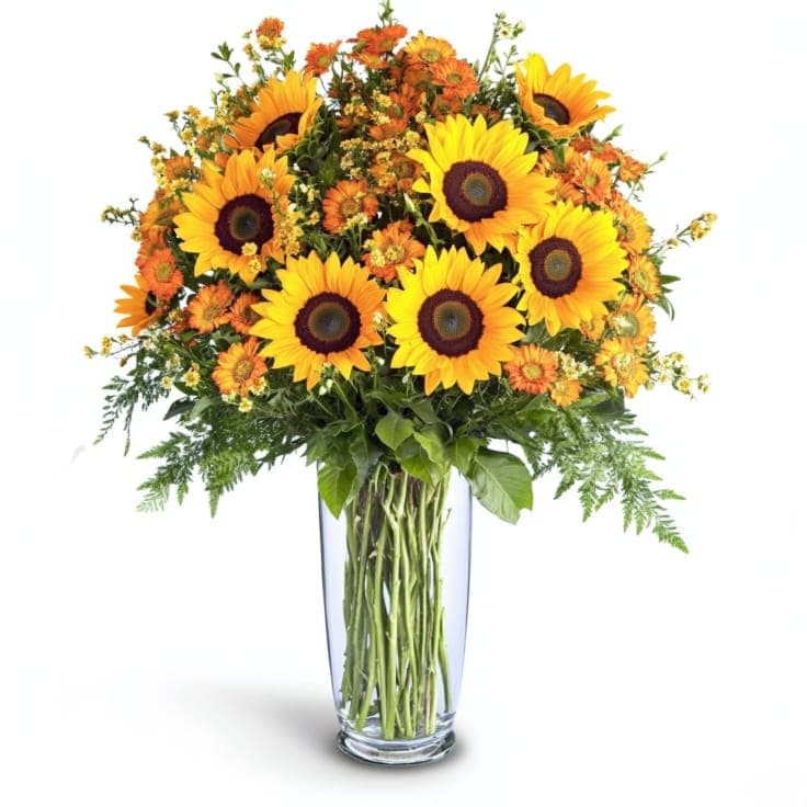 Exquisite Sunflowers