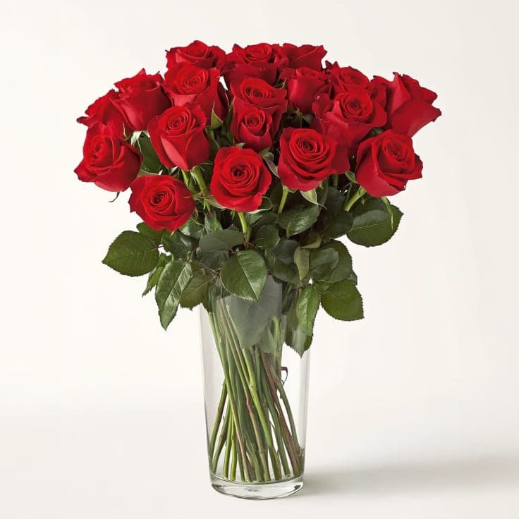 24 roses for every occasion