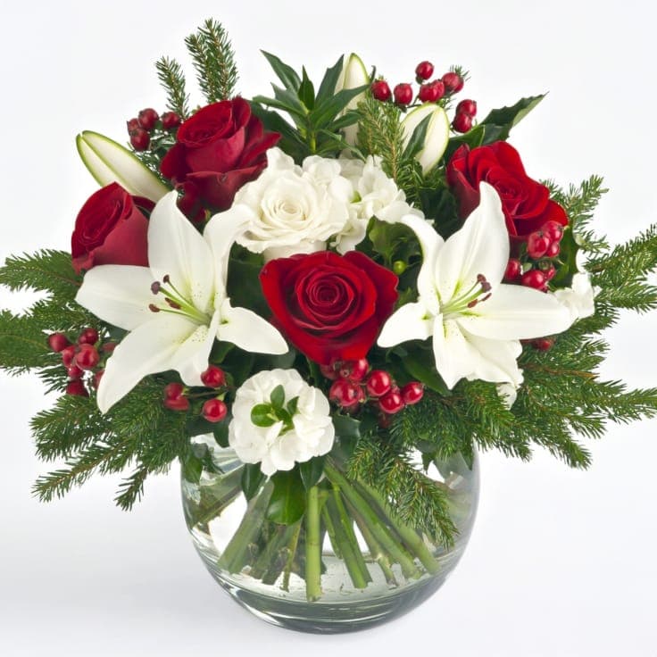 Christmas Cheer Bundle
