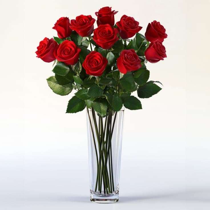 One Dozen Red Roses