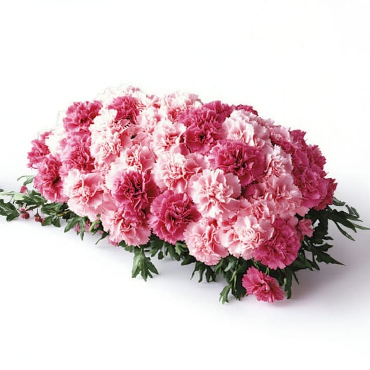 Sympathy Flowers