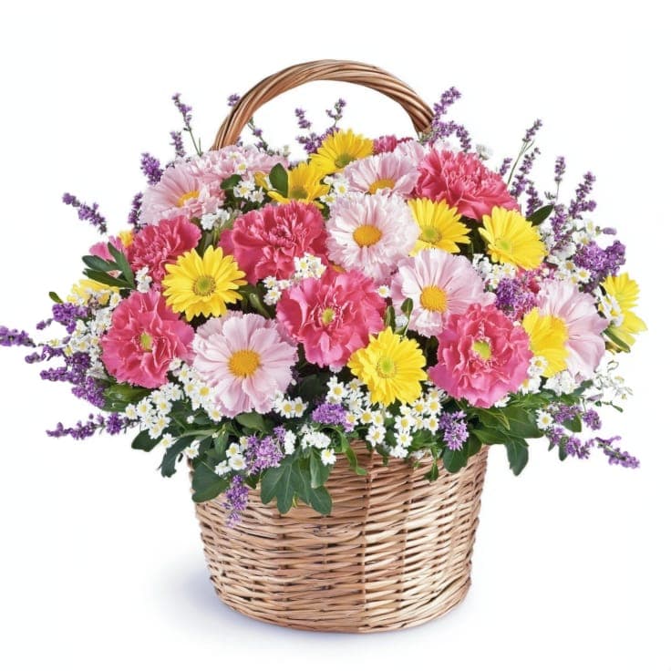 Vibrant Flowers