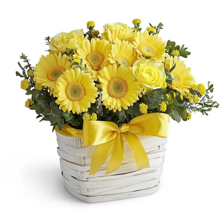 Sunstruck Blooms