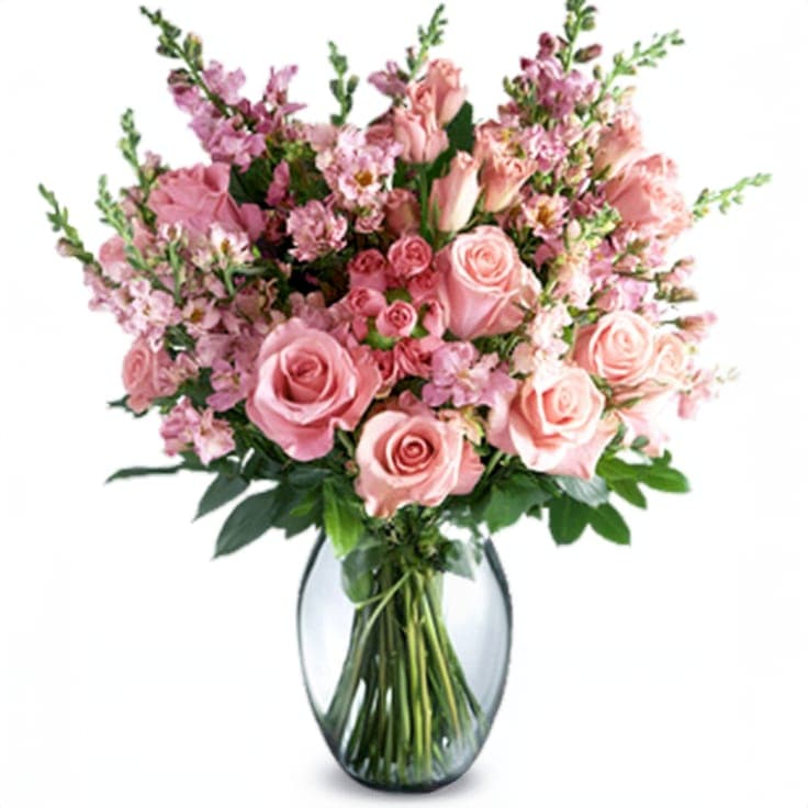 White and Pink Roses