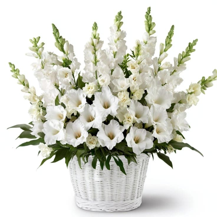 Pure Zen  Sympathy Basket