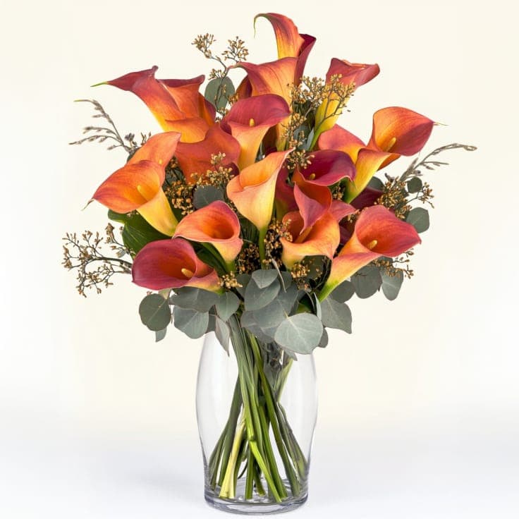 Mango Calla Lilies
