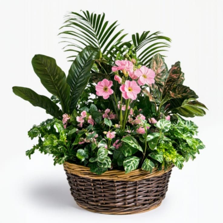 Jardin des Fleurs