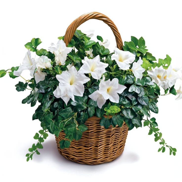 Pure White Blooms Basket