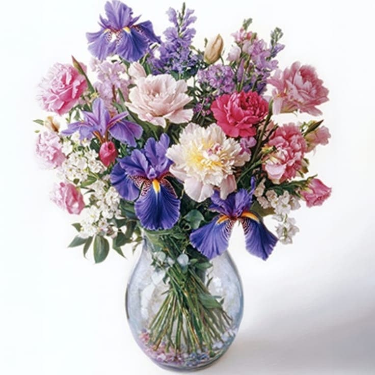 Pretty in Pink Daisies