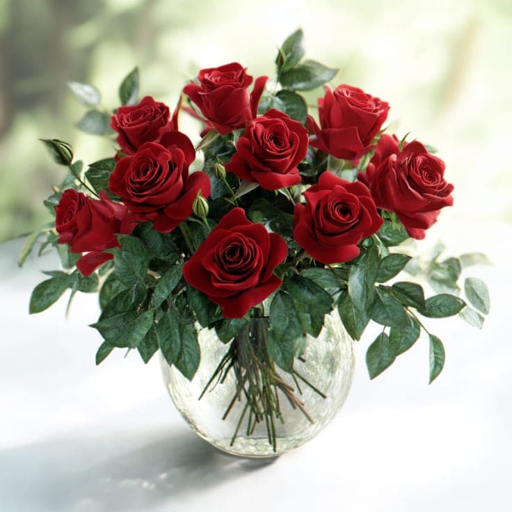 Lasting Affections Roses