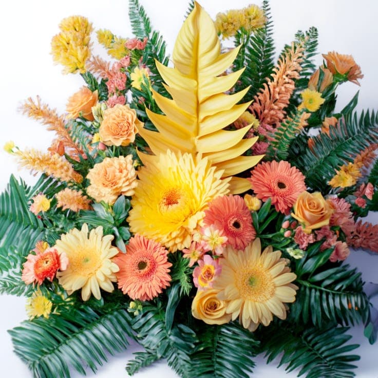 Multi Colored Flowers
