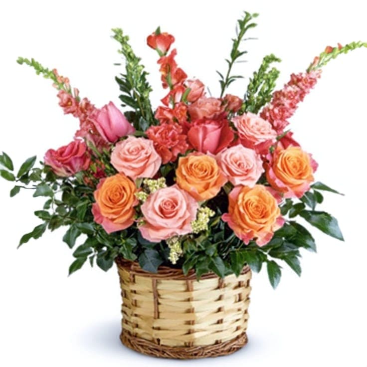 Enchanted Rose