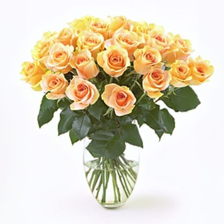 Uplifting Blooms