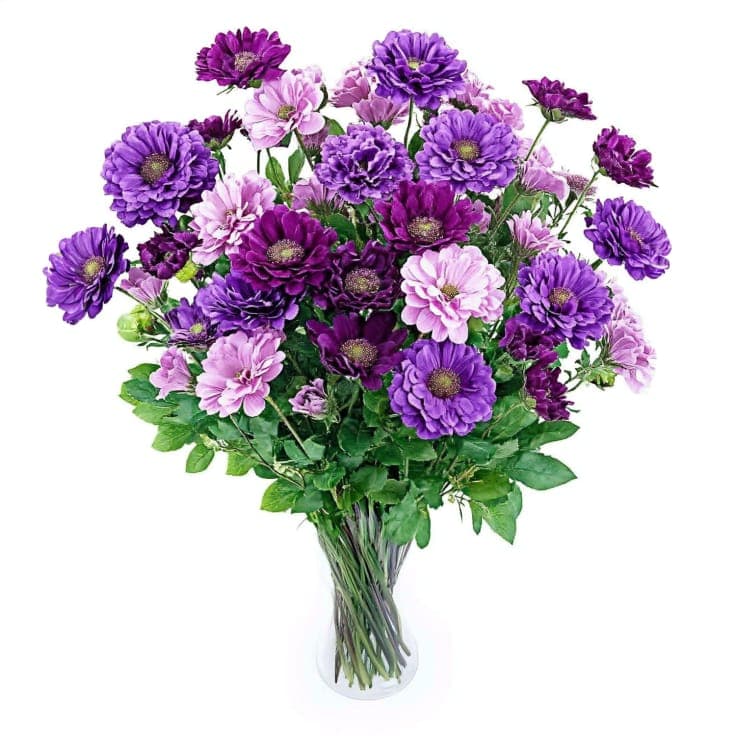 Elegance in Bloom