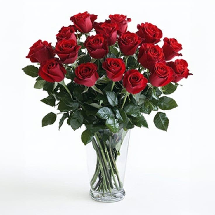 True Romance Roses