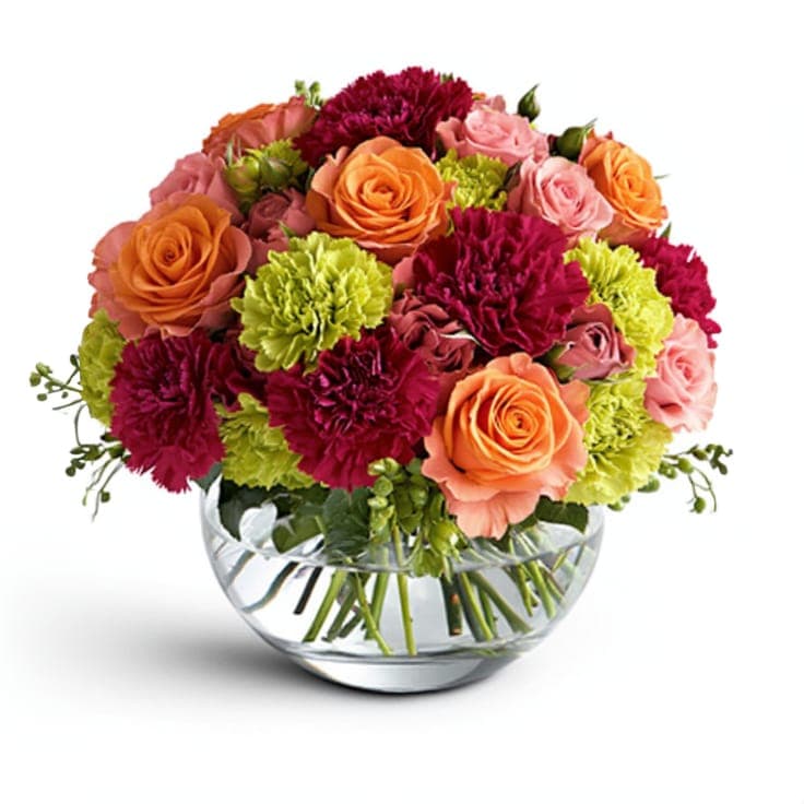 Radiant Blooms