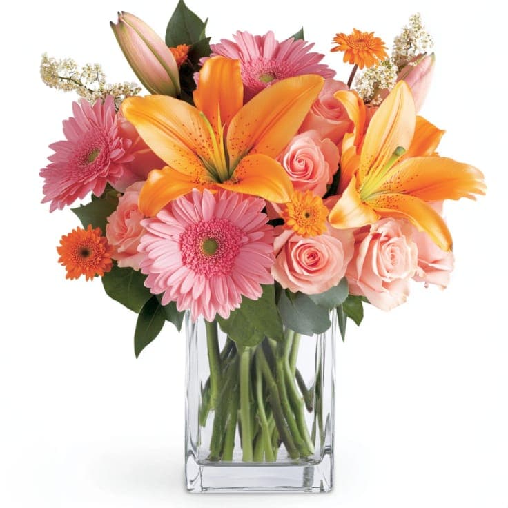 Brilliant Blooms