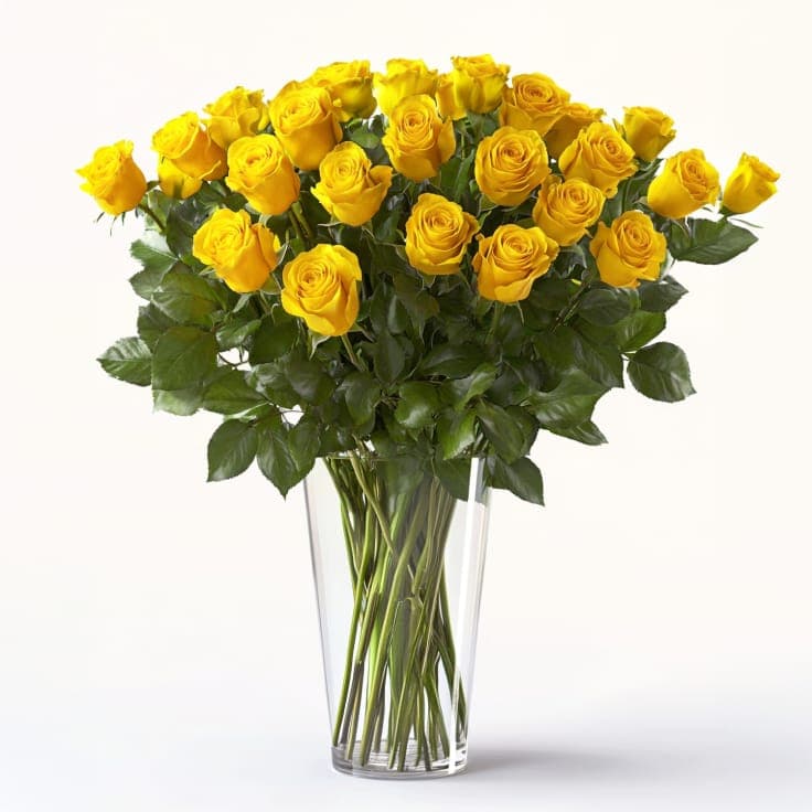 Two Dozen Radiant Roses