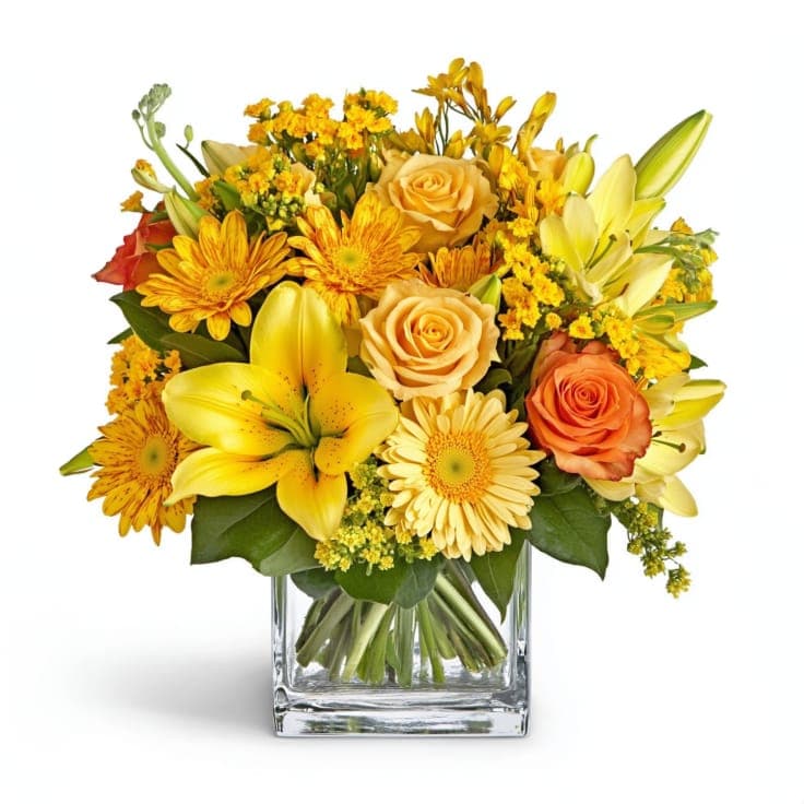 Brilliant Blooms