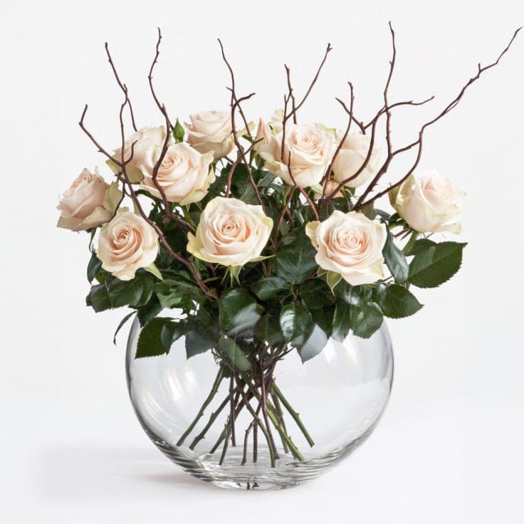 Radiant Roses