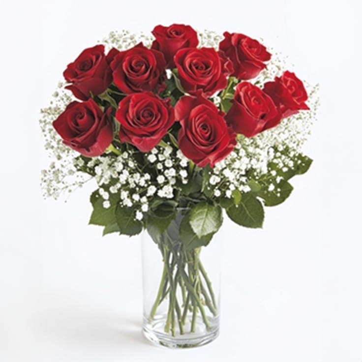Twelve red roses