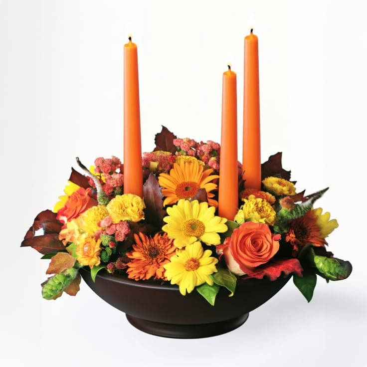 Fall Flowers