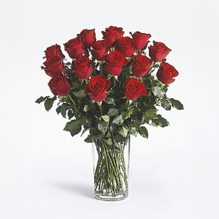 2 Dozen Regal Roses