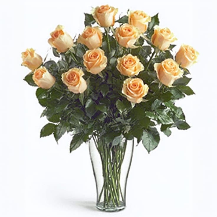 Loving Roses