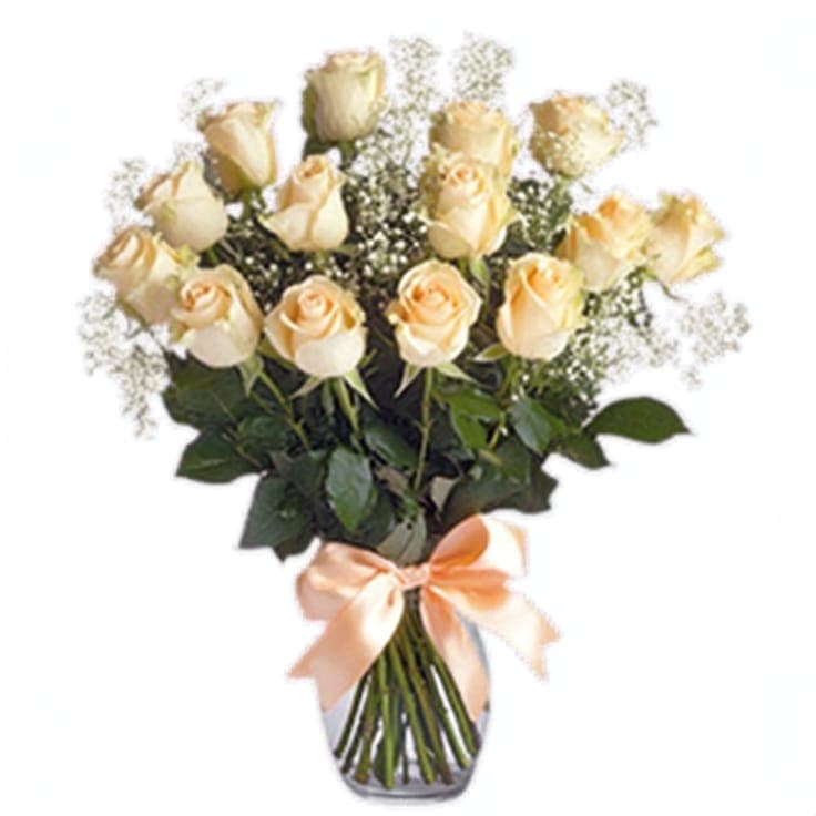 One Dozen White roses