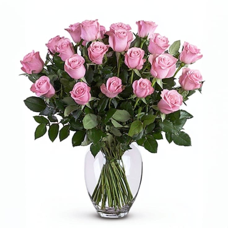 Two Dozen Pink Roses