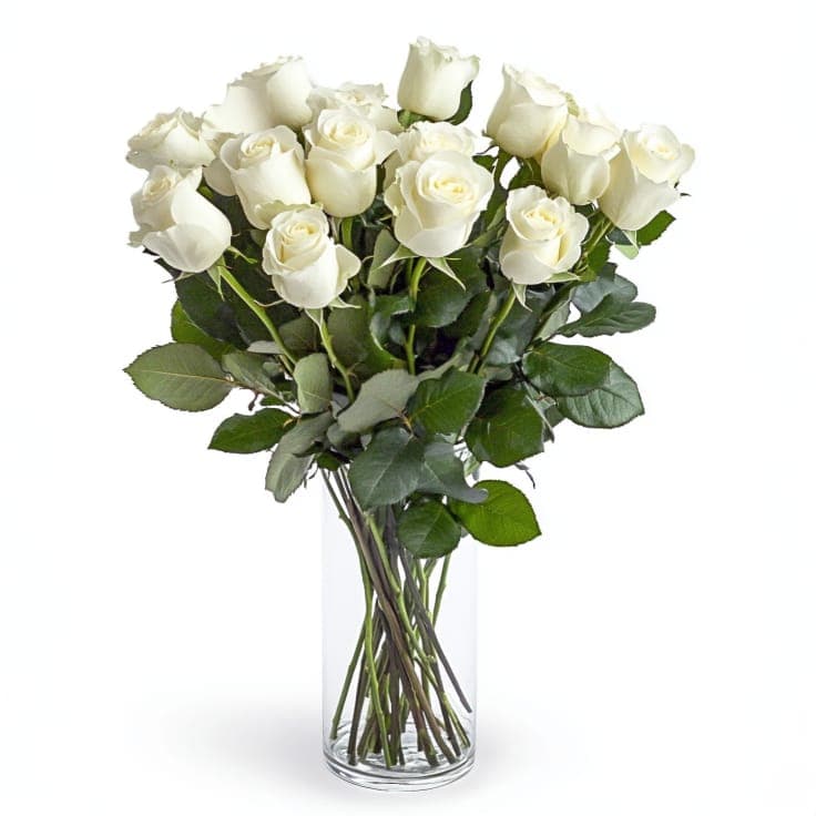 One Dozen White Roses