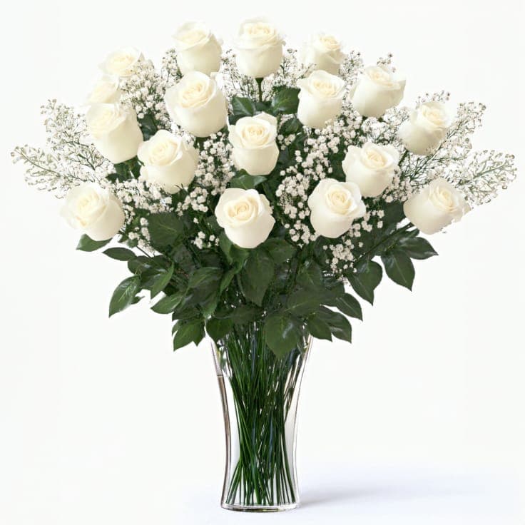One Dozen White Roses