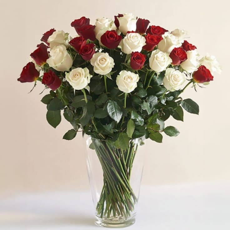 Two Dozen White Roses
