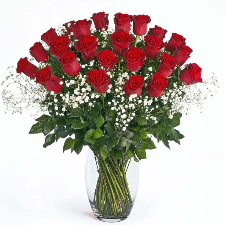 3 Dozen Roses