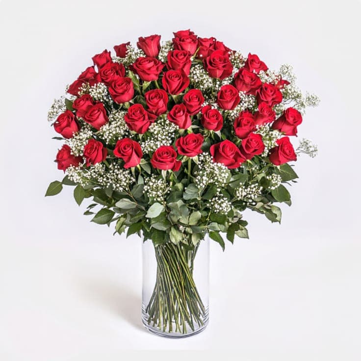 5 Dozen Roses VIP!
