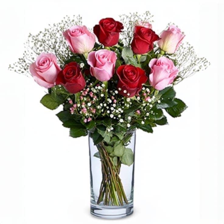 Vibrant Roses