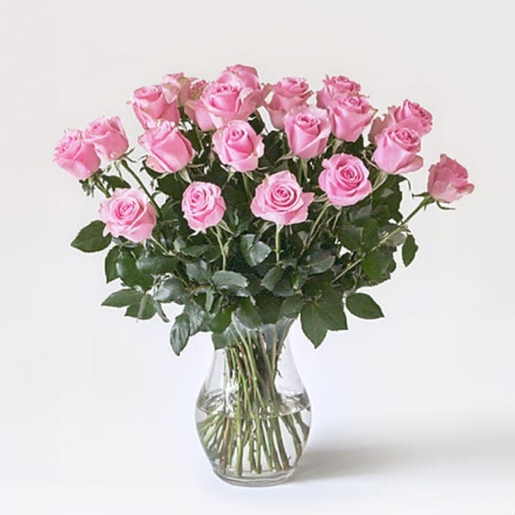 Two Dozen Pink Roses