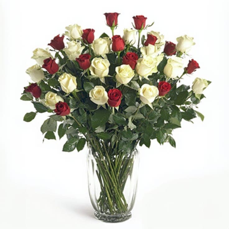 24 White Roses