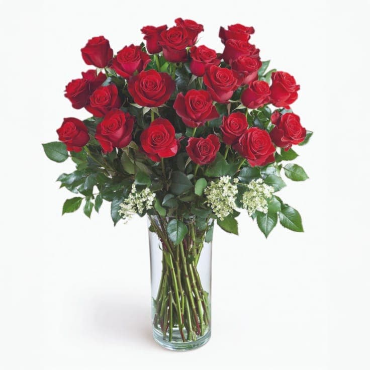 Forever Red Roses