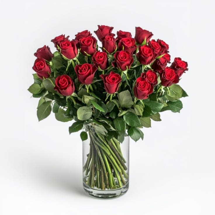 Regal romantic red roses