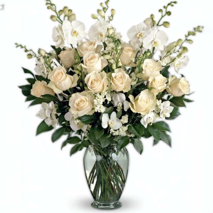 Classic Roses