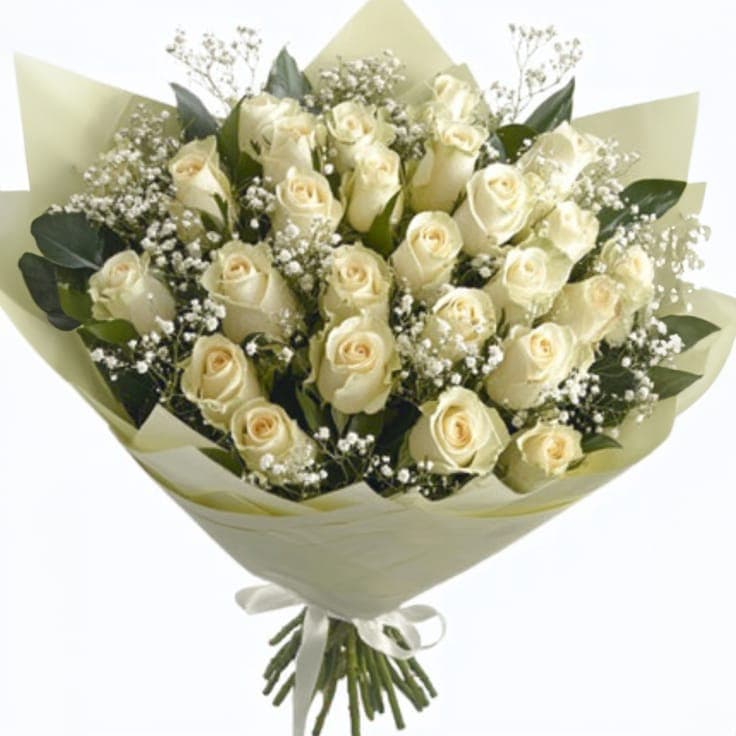 2 Dozen Pristine Elegance Roses