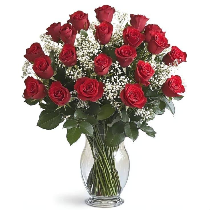 2 dozen Velvety Roses