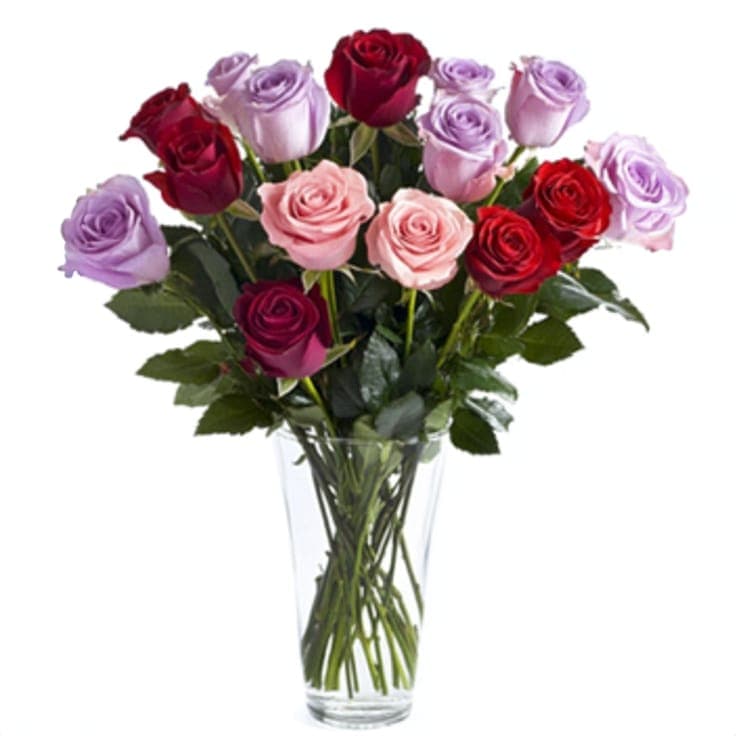 Luxury Roses